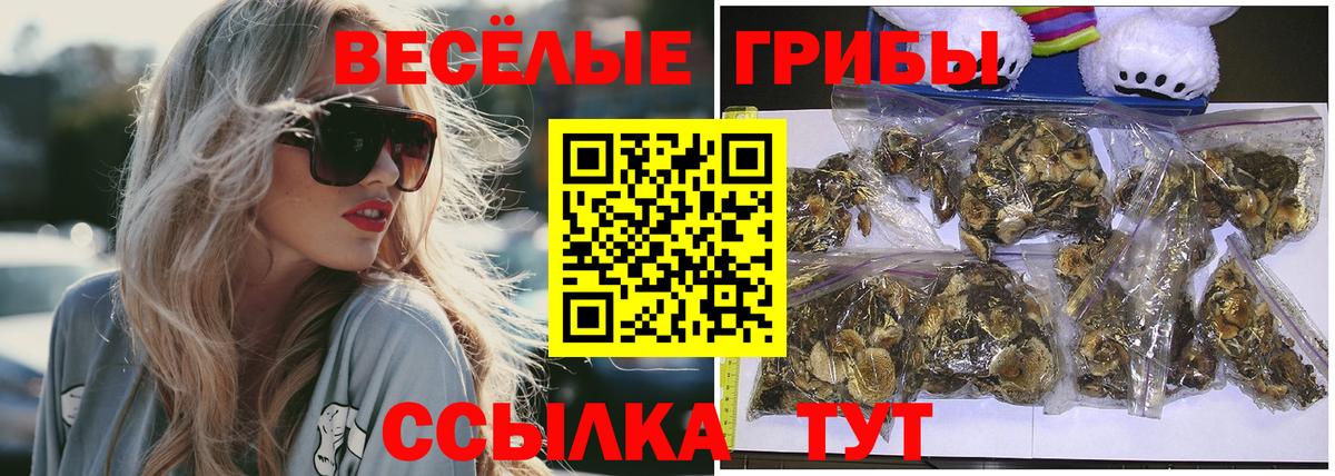 Псилоцибиновые грибы Cubensis  Псилоцибиновые грибы Psilocybe  Вход с VPN  Кисловодск 